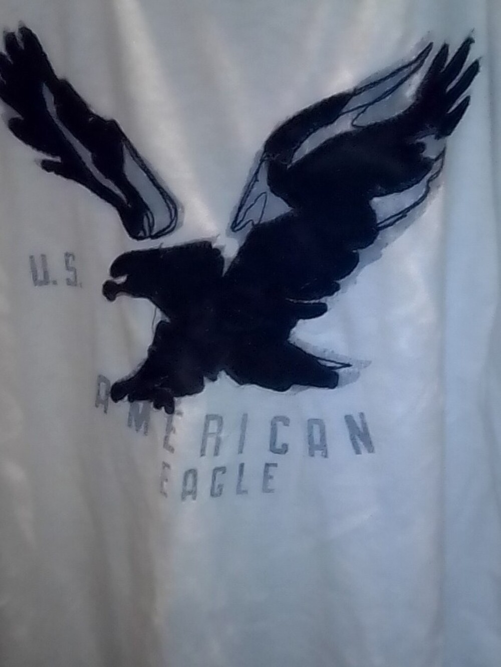 American Eagle Outfitters White Long-Sleeve Shirt with Navy Eagle Graphic - Picture 2 of 5